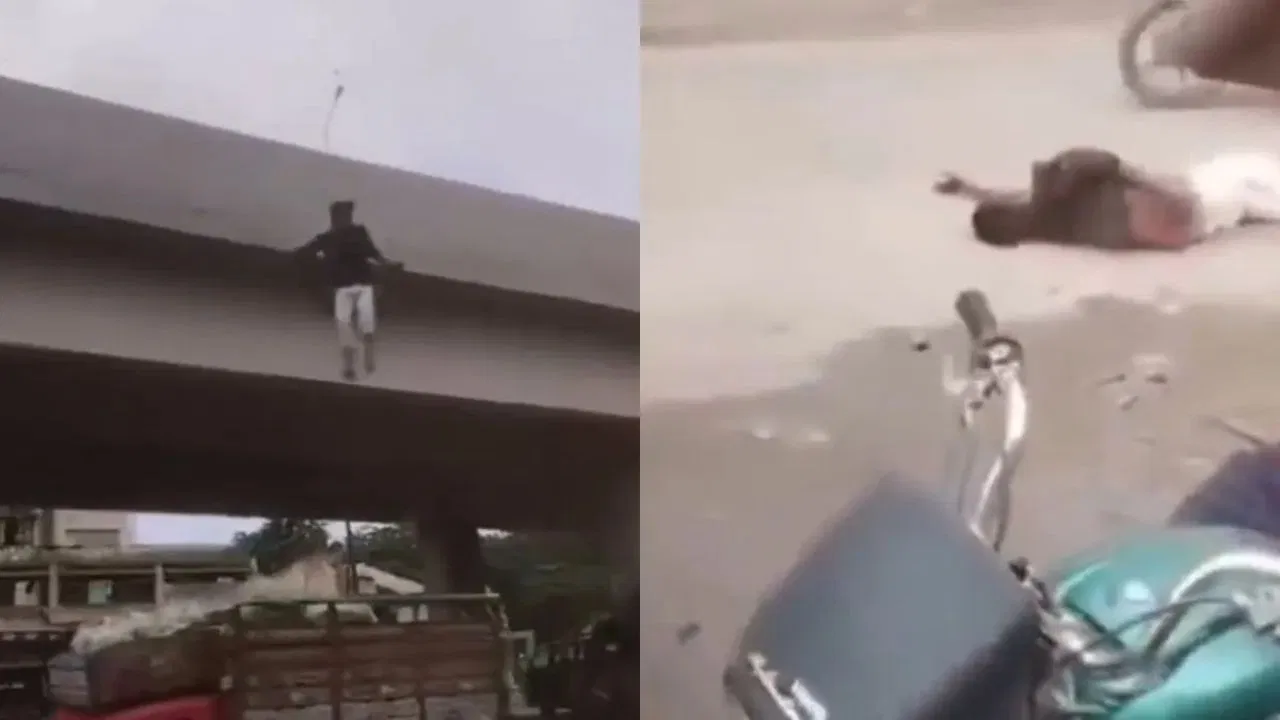Daredevil Jumps Off Flyover for Stunt